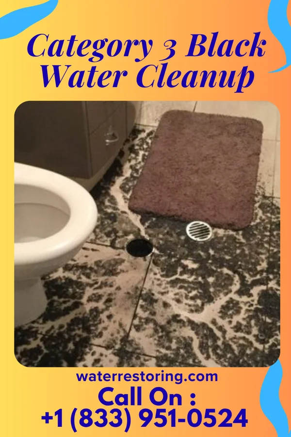 Category 3 Black Water Cleanup in Spearsville, LA