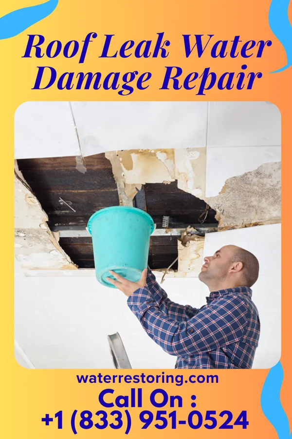 Roof Leak Water Damage Repair in Spearsville, LA