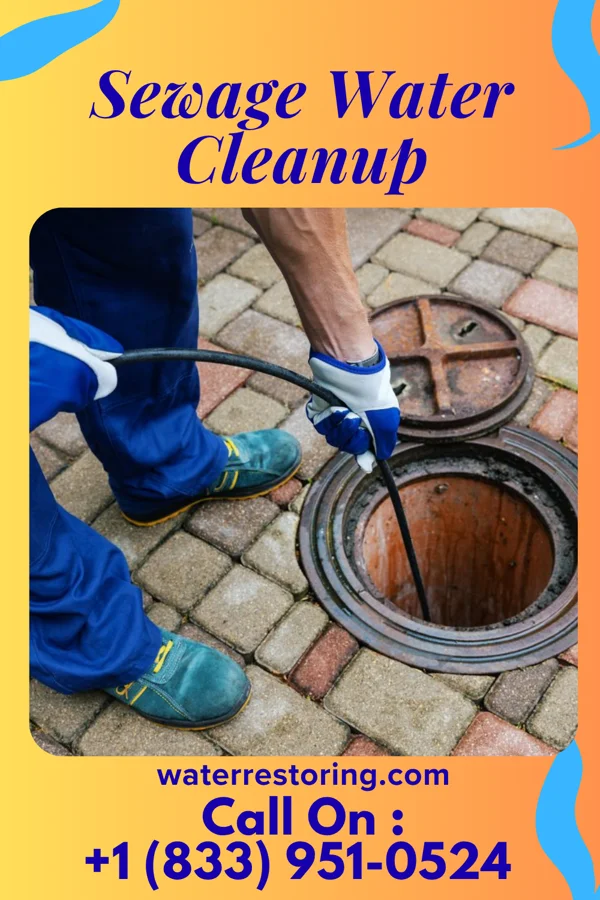 Sewage Water Cleanup in Spearsville, LA